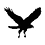 HAWK